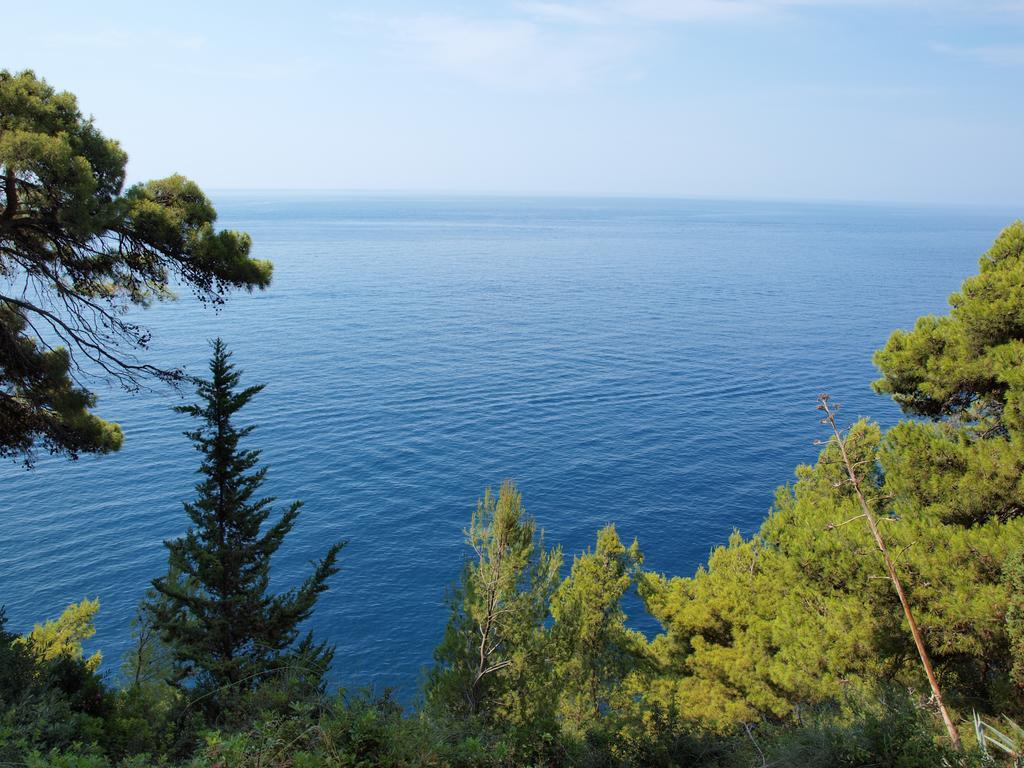 White & Co Villa And Apartments Dubrovnik Room photo
